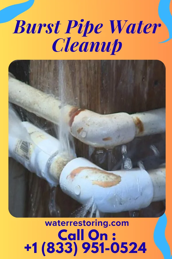 Burst Pipe Water Cleanup in Longtown, OK